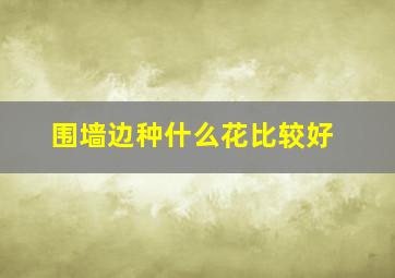 围墙边种什么花比较好