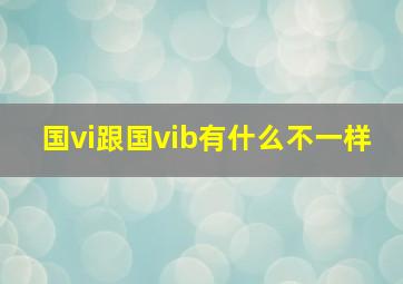 国vi跟国vib有什么不一样