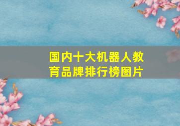 国内十大机器人教育品牌排行榜图片