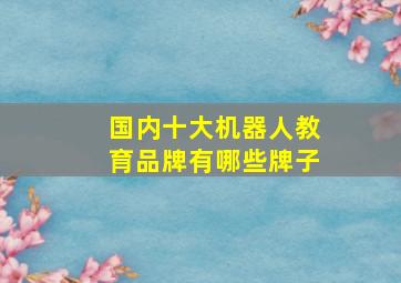 国内十大机器人教育品牌有哪些牌子