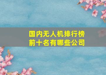 国内无人机排行榜前十名有哪些公司