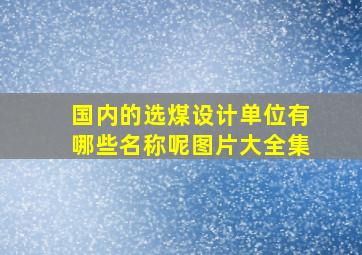 国内的选煤设计单位有哪些名称呢图片大全集