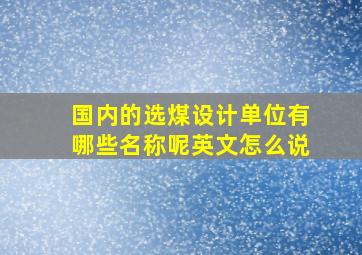 国内的选煤设计单位有哪些名称呢英文怎么说