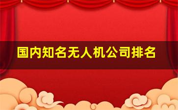 国内知名无人机公司排名