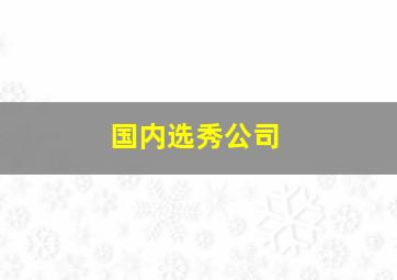 国内选秀公司