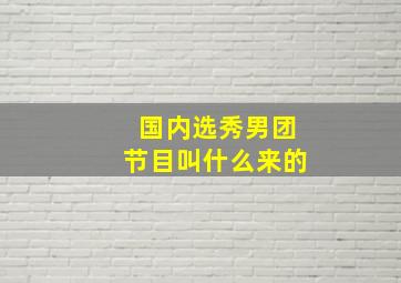 国内选秀男团节目叫什么来的