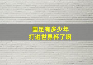 国足有多少年打进世界杯了啊