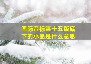 国际音标第十五版底下的小品是什么意思