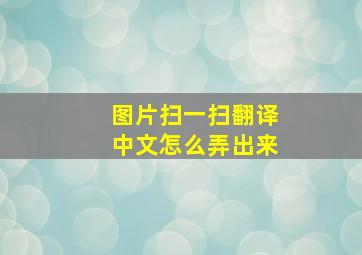 图片扫一扫翻译中文怎么弄出来