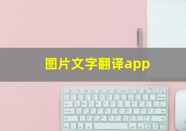 图片文字翻译app