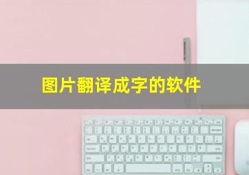 图片翻译成字的软件