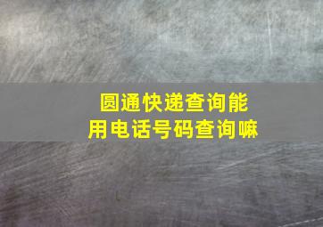 圆通快递查询能用电话号码查询嘛