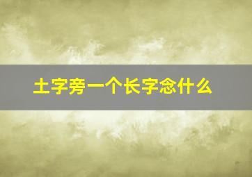 土字旁一个长字念什么