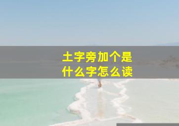 土字旁加个是什么字怎么读