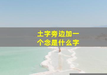 土字旁边加一个念是什么字