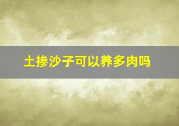 土掺沙子可以养多肉吗