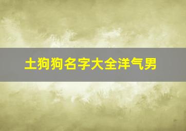 土狗狗名字大全洋气男