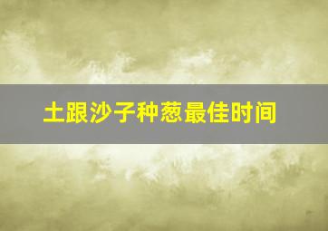 土跟沙子种葱最佳时间