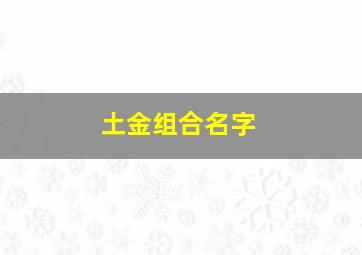 土金组合名字