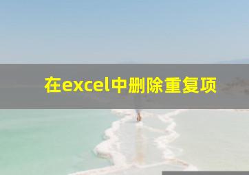 在excel中删除重复项