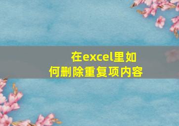 在excel里如何删除重复项内容