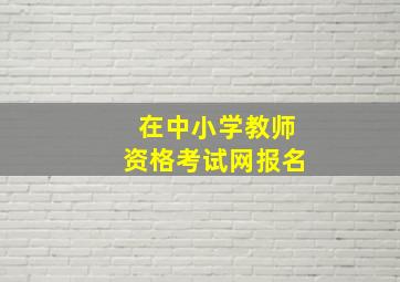 在中小学教师资格考试网报名