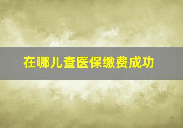 在哪儿查医保缴费成功