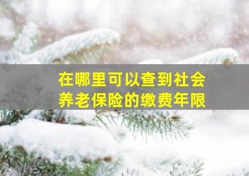 在哪里可以查到社会养老保险的缴费年限