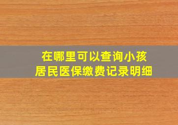 在哪里可以查询小孩居民医保缴费记录明细