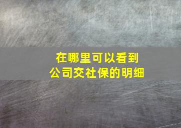 在哪里可以看到公司交社保的明细