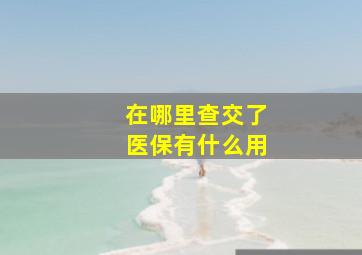 在哪里查交了医保有什么用