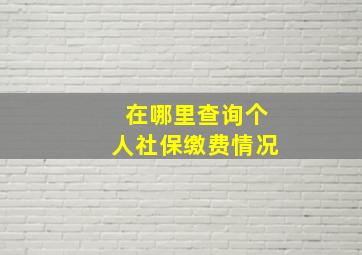 在哪里查询个人社保缴费情况