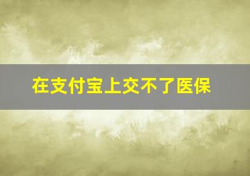 在支付宝上交不了医保