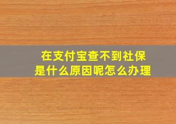 在支付宝查不到社保是什么原因呢怎么办理