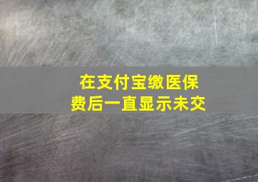 在支付宝缴医保费后一直显示未交