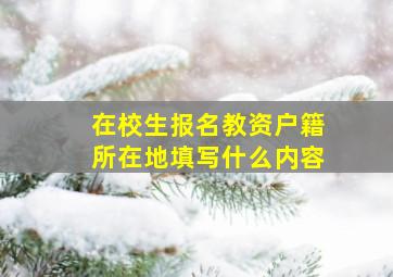 在校生报名教资户籍所在地填写什么内容