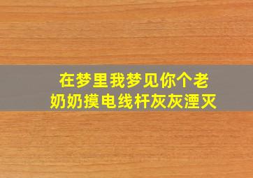 在梦里我梦见你个老奶奶摸电线杆灰灰湮灭