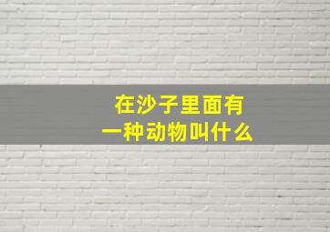 在沙子里面有一种动物叫什么