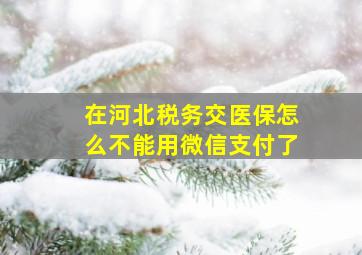 在河北税务交医保怎么不能用微信支付了