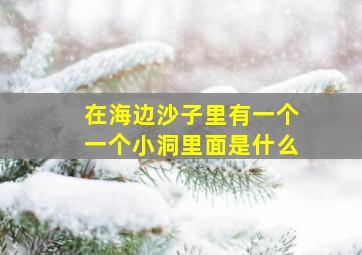 在海边沙子里有一个一个小洞里面是什么