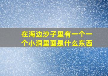 在海边沙子里有一个一个小洞里面是什么东西