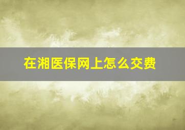 在湘医保网上怎么交费