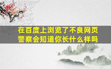 在百度上浏览了不良网页警察会知道你长什么样吗