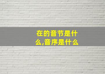 在的音节是什么,音序是什么