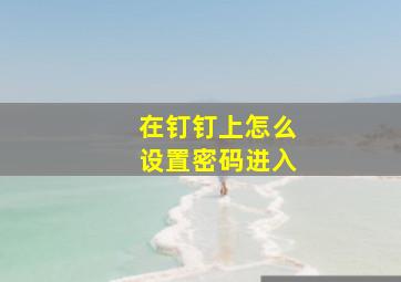 在钉钉上怎么设置密码进入