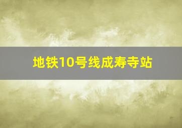 地铁10号线成寿寺站