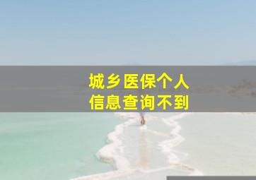 城乡医保个人信息查询不到