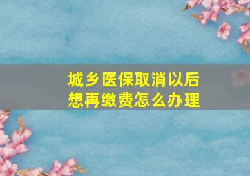 城乡医保取消以后想再缴费怎么办理