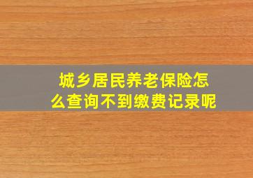 城乡居民养老保险怎么查询不到缴费记录呢