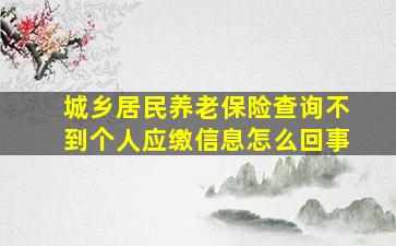 城乡居民养老保险查询不到个人应缴信息怎么回事